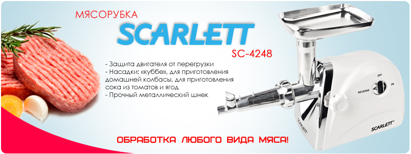SCARLETT SC 4248